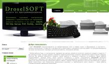 DroselSoft.ru – Дипломные работы