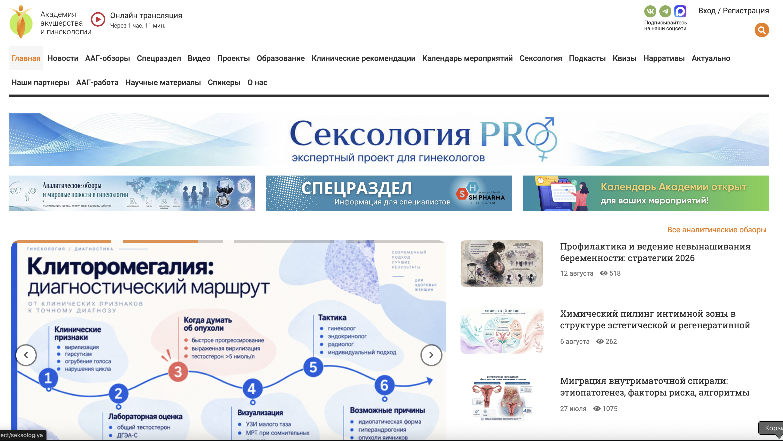 Экран сайта Академия ААГ