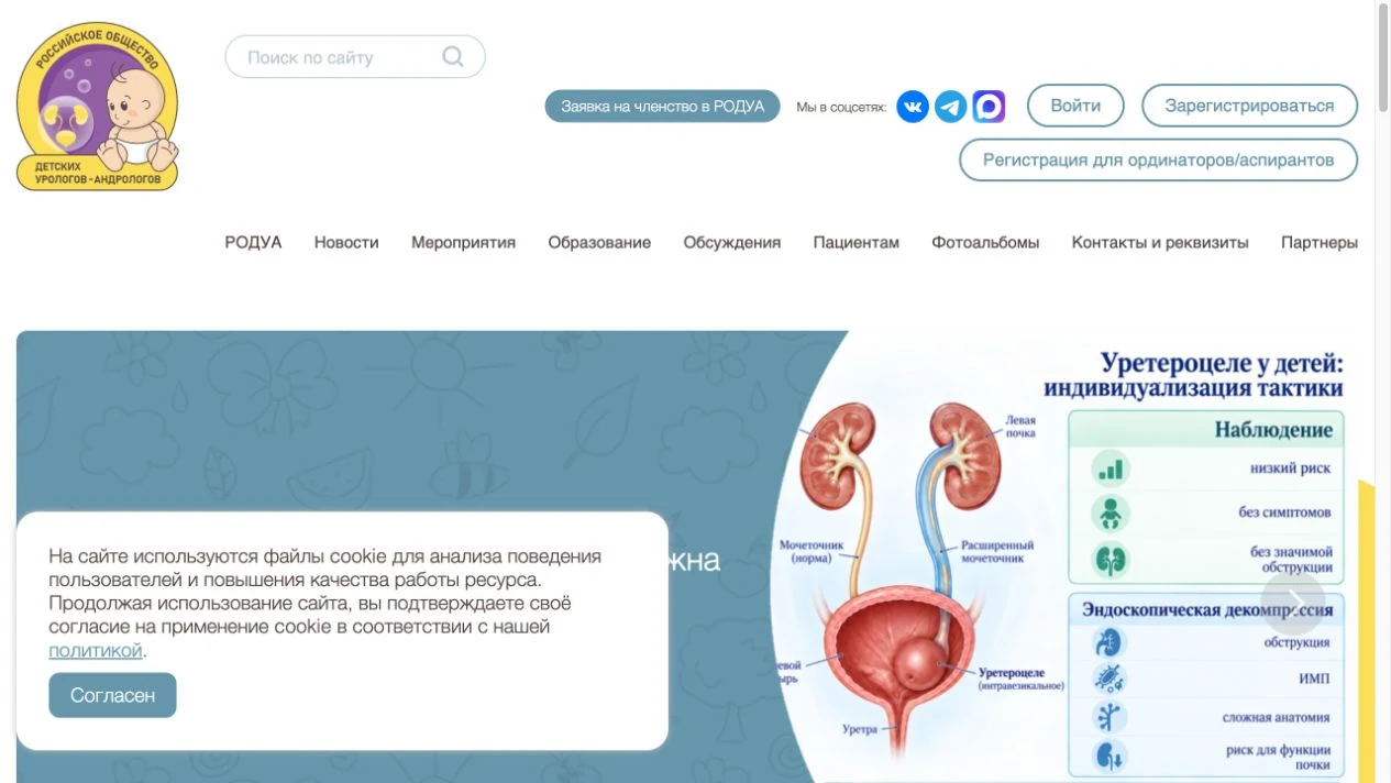 Скриншот главной страницы РОДУА